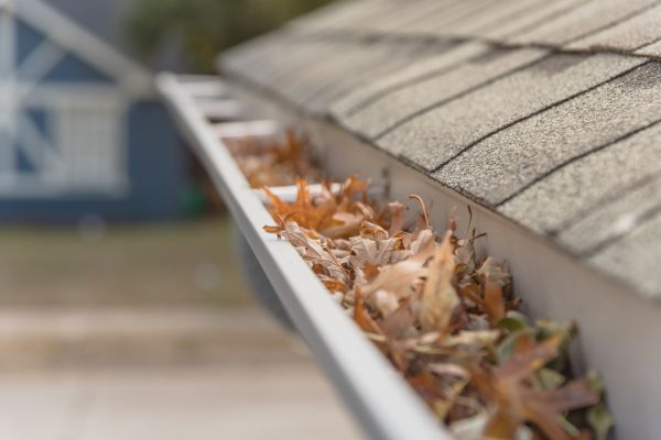 Leaf Barrier Installation in Sanford