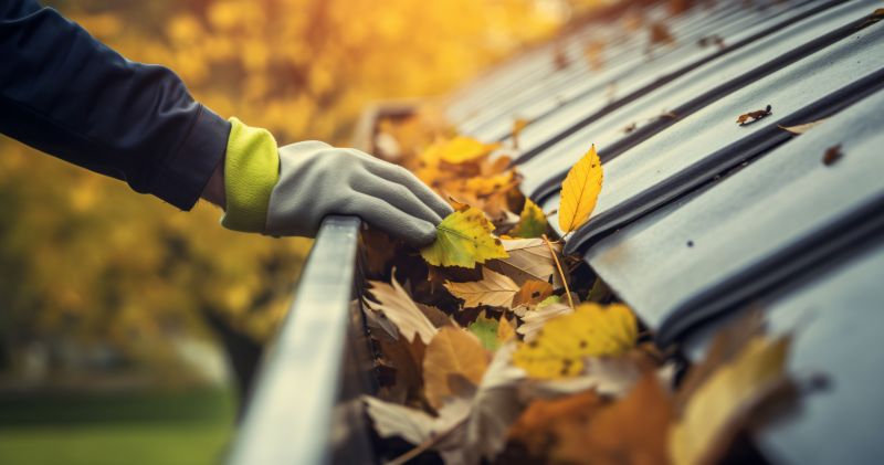 Prepping Gutters for Fall