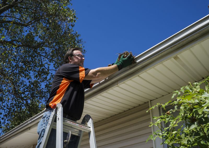 Clean Gutters with Covers