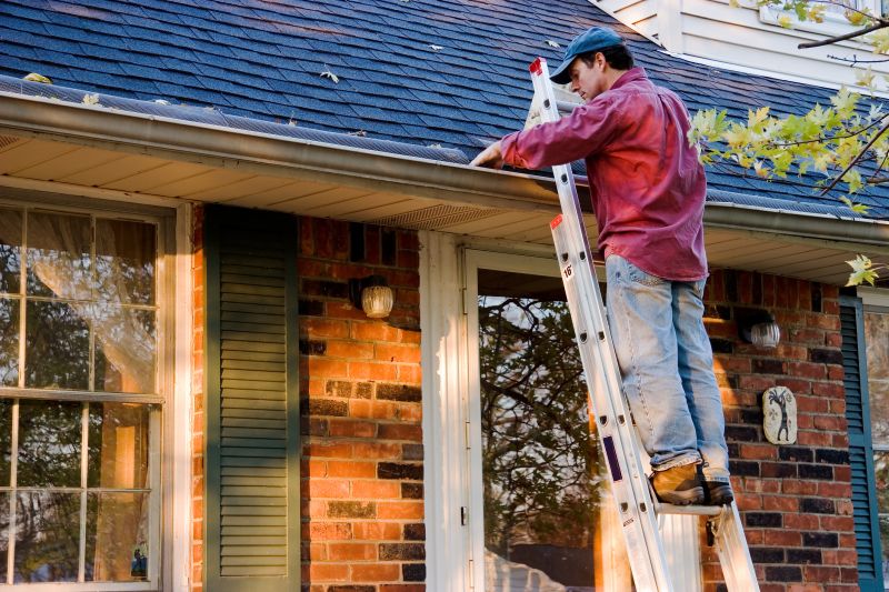 Handyman Services for Gutter Covers